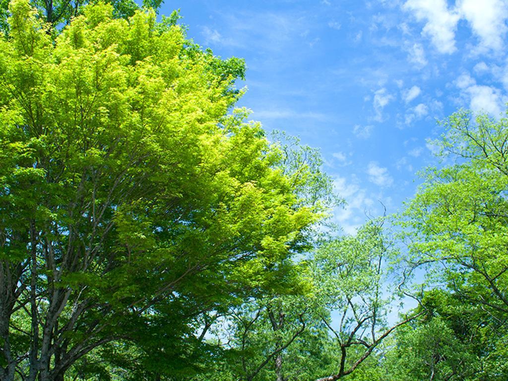 里磐梯活动度假村 北塩原村 外观 照片